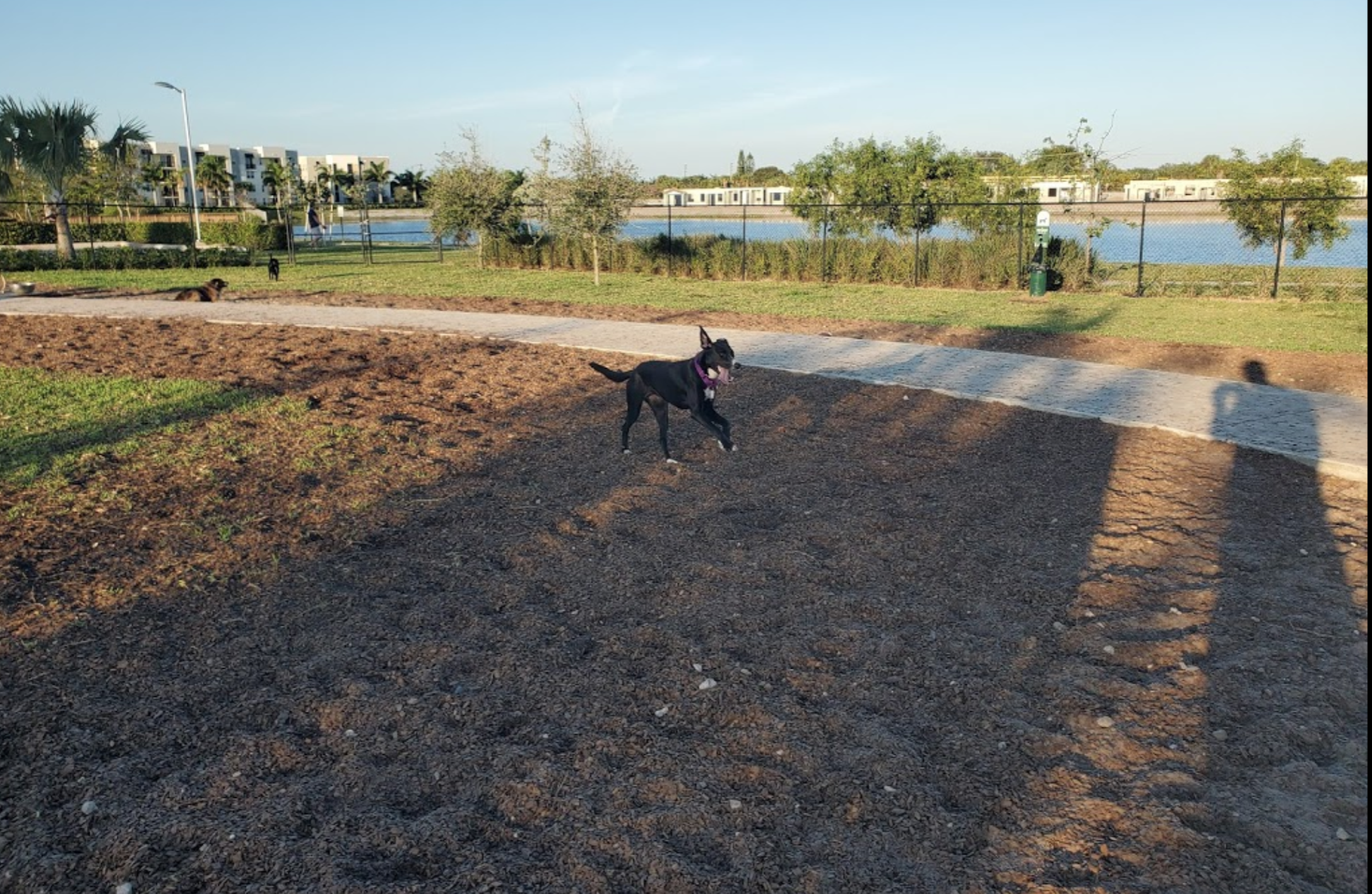 Coming Soon to Boynton Beach:  First Dog Park